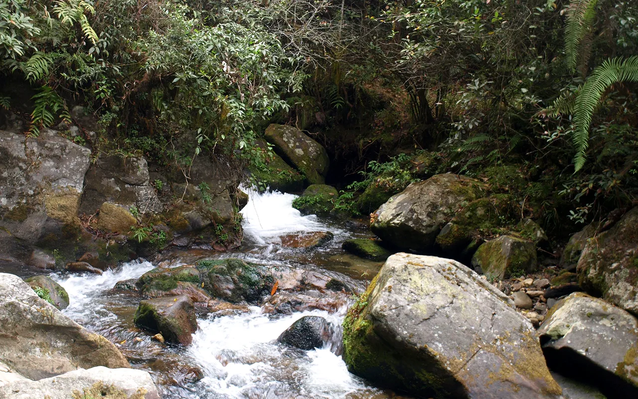 Short Hikes & Treks Around Kathmandu Valley 5 Chisapani